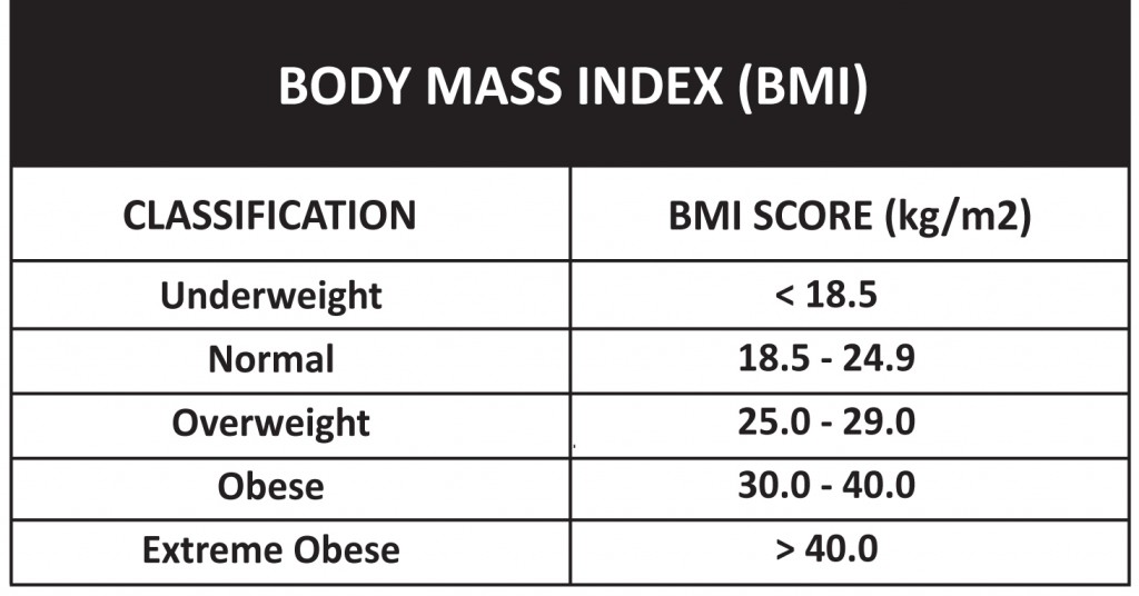 Bmi Score Chart